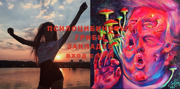 ешки Навашино