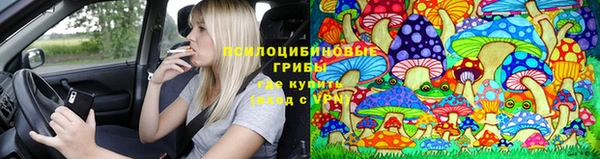 ГАЛЛЮЦИНОГЕННЫЕ ГРИБЫ Надым