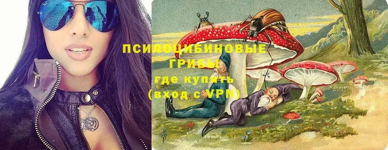 Псилоцибиновые грибы мухоморы  Энгельс 