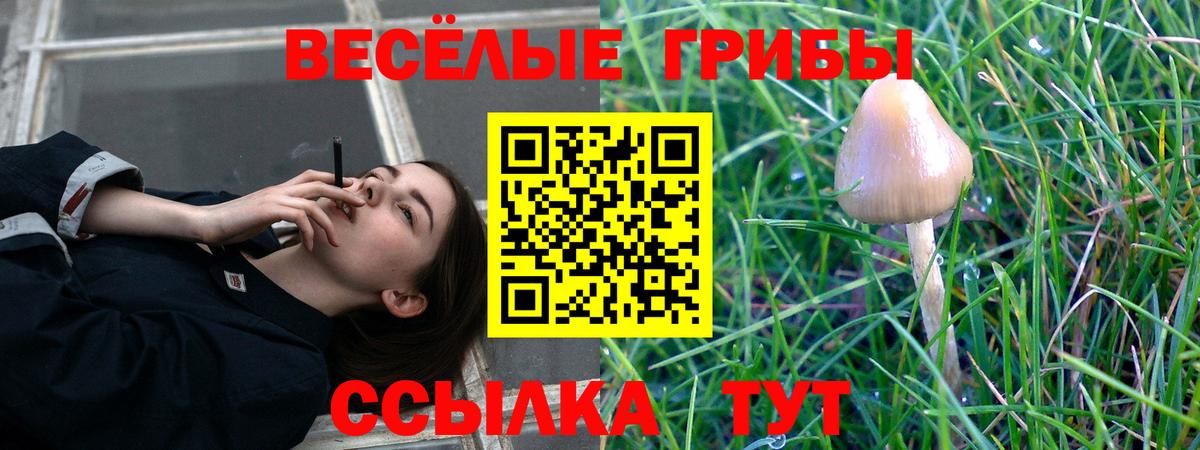 Меф Энгельс